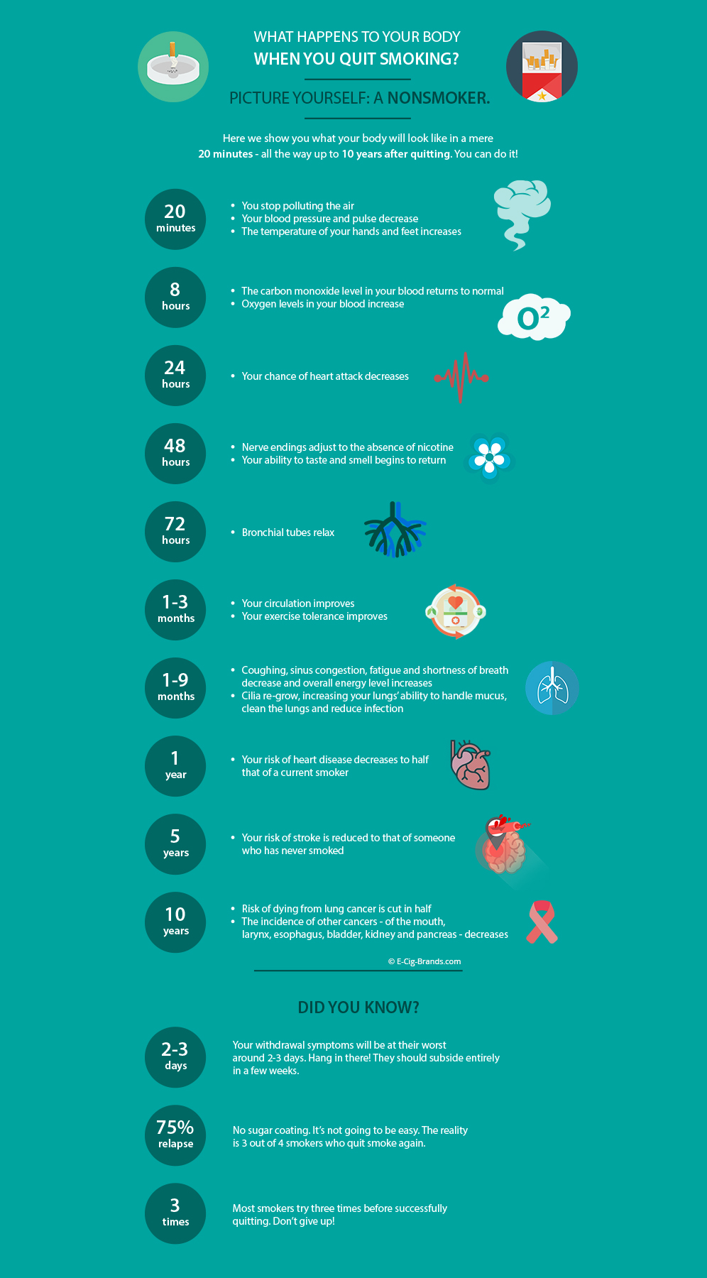 What Happens To Your Body When You Quit Smoking Infographic E Cig Brands What happens to your body when you quit smoking infographic e cig brands